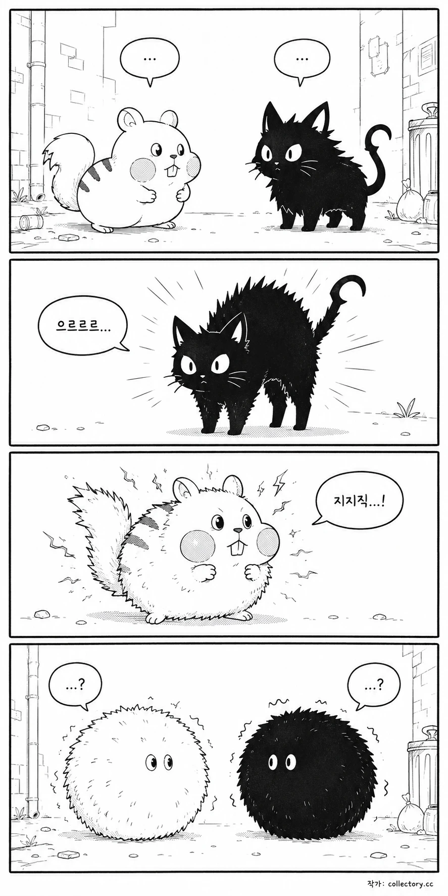 고양이와의 조우